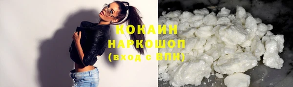 кокс Алексин